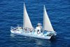 Gran Canaria Trip: Daily Catamaran Dolphin spotting Cruise